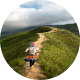 Hike a day group logo